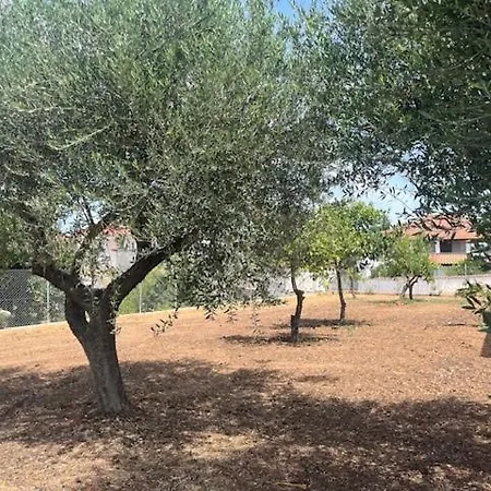 Casa Plati 2 - Peaceful Garden With Pool * Plati (Messenia)