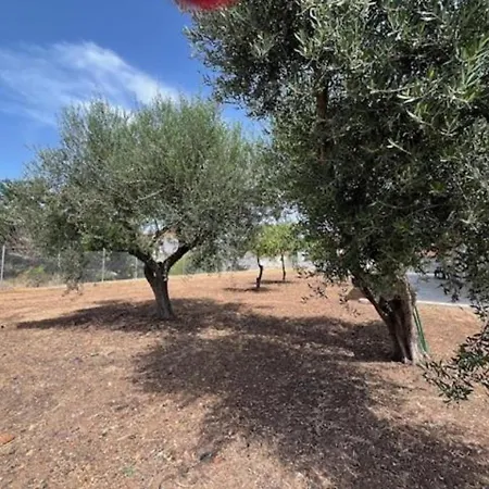 Casa Plati 2 - Peaceful Garden With Pool * Plati (Messenia)