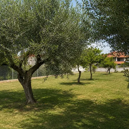 Nyaraló Casa Plati 2 - Peaceful Garden With Pool