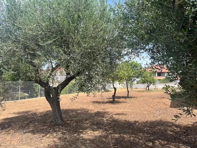 Casa Plati 2 * Plati (Messenia)